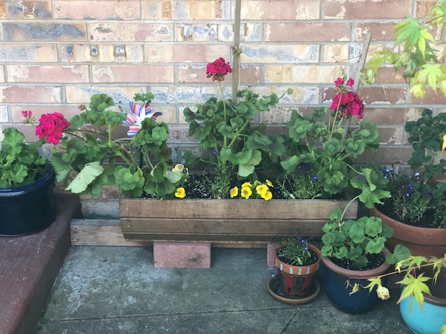 61083671772__1537C867-A007-4AC4-8A49-6DACBCD9BD7E